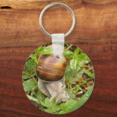 Porte-clés Porte - clé avec escargot. (Recto)