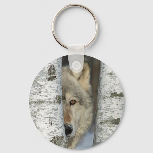 Porte-clés Porte - clé avec photo loup gris dans les bouleaux (Recto)