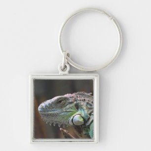 Porte-clés Porte - clé avec tête de lézard coloré Iguana