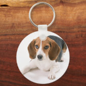 Porte-clés Porte - clé beagle (Recto)