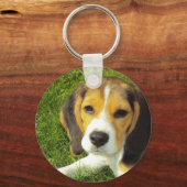 Porte-clés Porte - clé beagle (Recto)