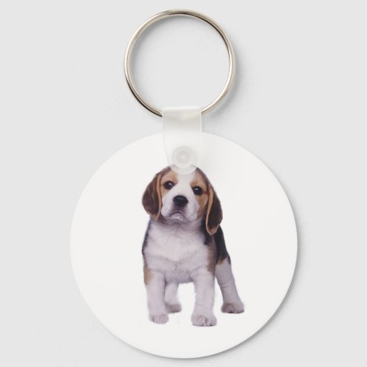 Porte-clés Porte - clé beagle Pup (Recto)