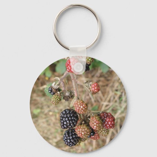 Porte-clés Porte - clé Blackberry Bonanza (Recto)