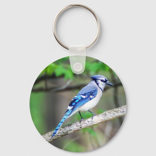 Porte-clés Porte - clé Blue Jay (Recto)