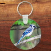 Porte-clés Porte - clé Blue Jay (Recto)