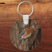 Porte-clés Porte - clé Bluebird (Recto)
