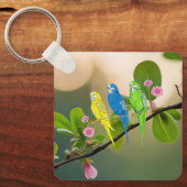 Porte-clés Porte - clé Budgies Bird (Recto)