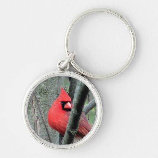 Porte-clés Porte - clé cardinal masculin (Devant)