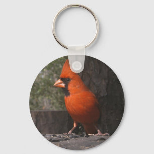 Porte-clés Porte - clé cardinal rouge
