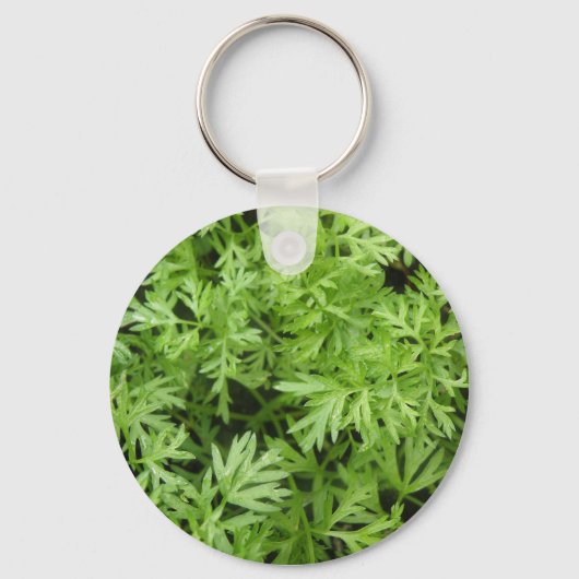 Porte-clés Porte - clé Carrot Tops (Recto)