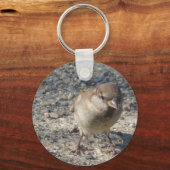 Porte-clés Porte - clé Cheeky Sparrow (Recto)