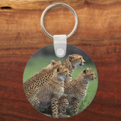 Porte-clés Porte - clé-Cheetah (Recto)