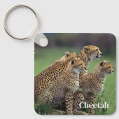 Porte-clés Porte - clé-Cheetah (Recto)