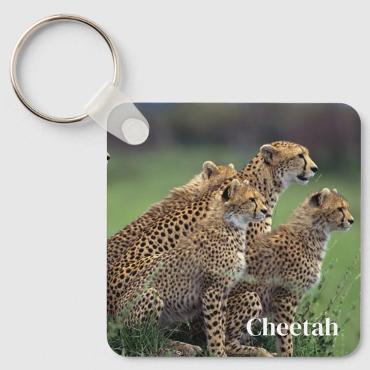 Porte-clés Porte - clé-Cheetah (Recto)