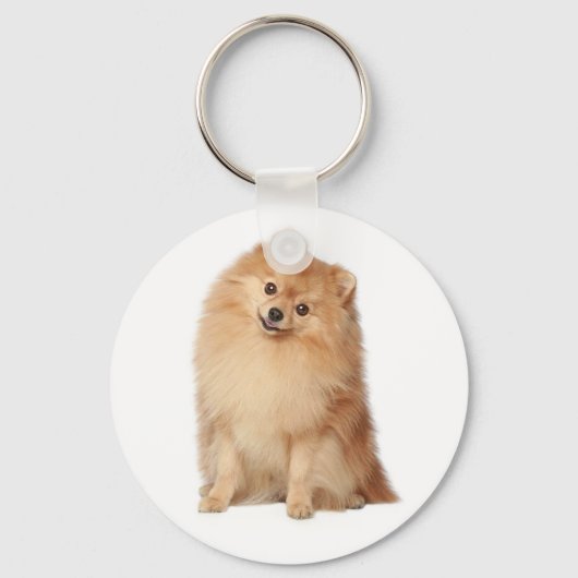 Porte-clés Porte - clé Chien Chien Chien Chien Chien Chien Ch (Recto)