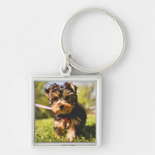 Porte-clés Porte - clé chien mignon 5