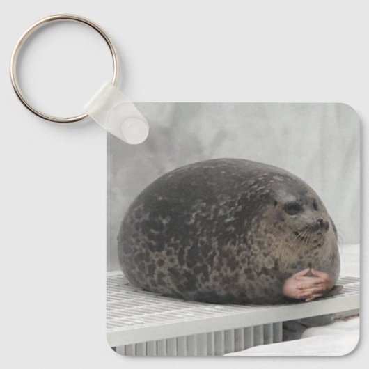 Porte-clés Porte - clé Chonky Seal Meme (Recto)