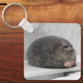 Porte-clés Porte - clé Chonky Seal Meme (Recto)