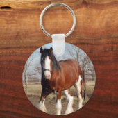 Porte-clés Porte - clé Clydesdale (Recto)