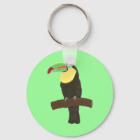 Porte - clé coloré de peinture d'oiseaux Toucan
