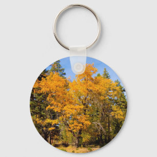 Porte-clés Porte - clé couleur automne 1