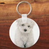 Porte-clés Porte - clé Cute Bichon Frise (Recto)