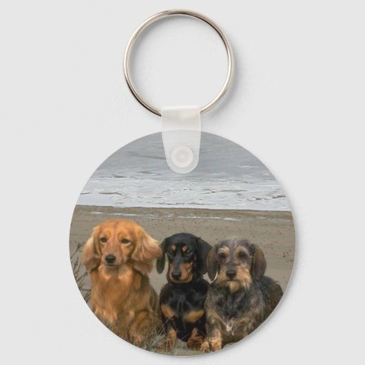 Porte-clés Porte - clé Dachshunds Sur La Plage (Recto)