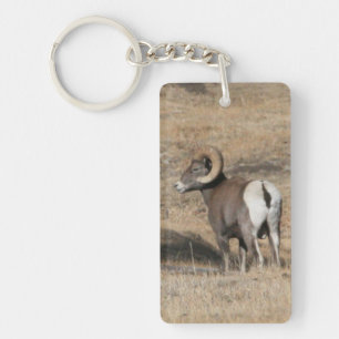 Porte-clés Porte - clé d'acrylique de RAM de Big Horn