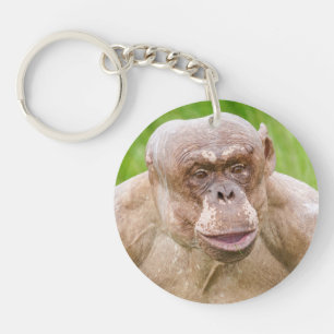 Porte-clés Porte - clé d'aimant Chimpanzé sans cheveux