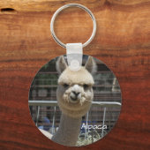 Porte-clés Porte - clé d'Alpaca drôle (Recto)