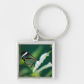 Porte-clés Porte - clé Dana (Devant)