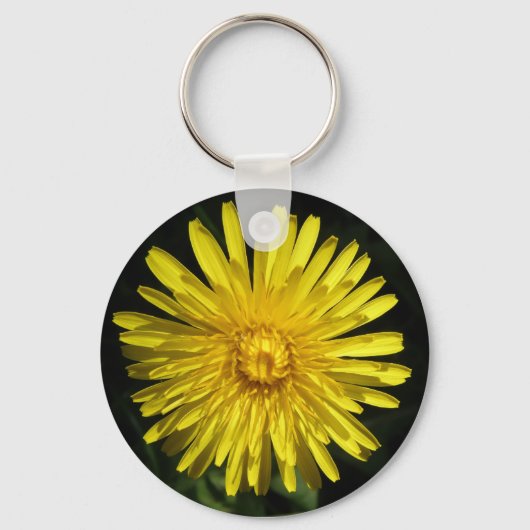 Porte-clés Porte - clé Dandelion (Recto)