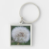 Porte-clés Porte - clé Dandelion (Devant)