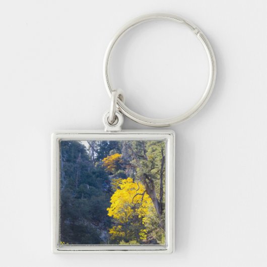 Porte-clés Porte - clé d'automne 6 (Devant)