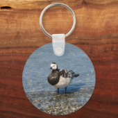 Porte-clés Porte - clé de Barnacle Goose (Recto)