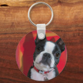 Porte-clés Porte - clé de Boston Terrier (Recto)