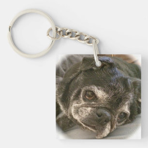 Porte-clés Porte - clé de Bumblesnot : Puggy svp ?