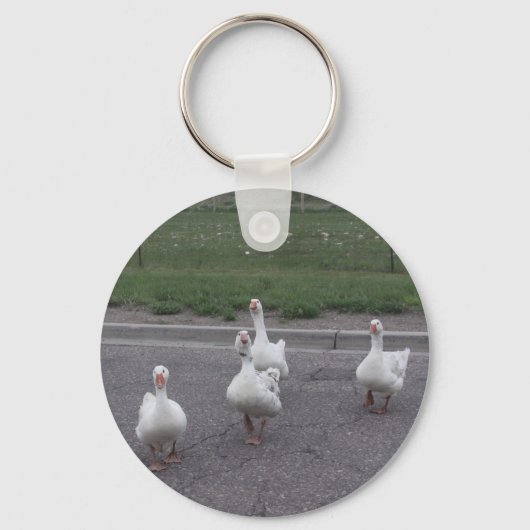 Porte-clés Porte - clé de canard (Recto)