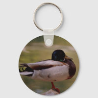 Porte - clé de canard