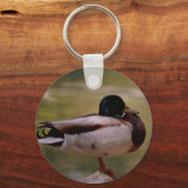 Porte-clés Porte - clé de canard (Recto)