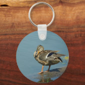 Porte-clés Porte - clé de canard (Recto)