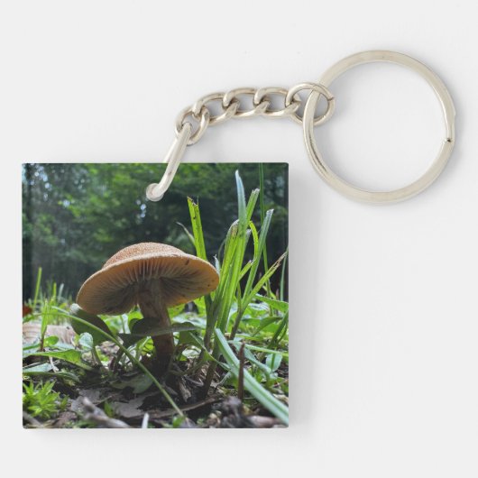 Porte-clés Porte - clé de champignons (Dos)