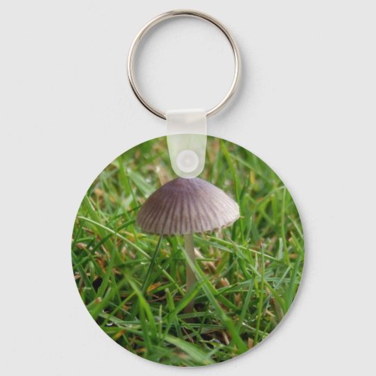 Porte-clés Porte - clé de champignons (Recto)