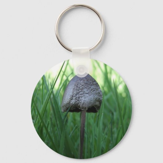 Porte-clés Porte - clé de champignons (Recto)
