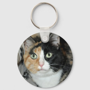 Porte-clés Porte - clé de chat d'abri de calicot de Shorthai