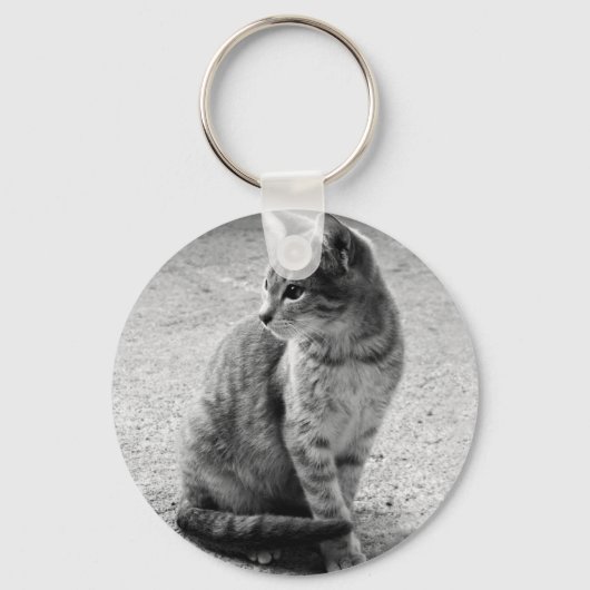 Porte-clés Porte - clé de chat gris (Recto)