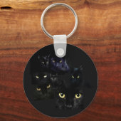Porte-clés Porte - clé de chats (Recto)