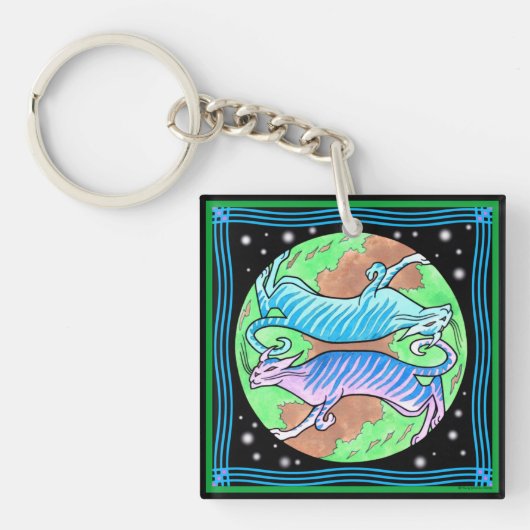 Porte-clés Porte - clé "de chats étrangers" (Devant)