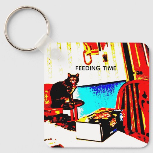 Porte-clés Porte - clé de chats humoristique (Recto)