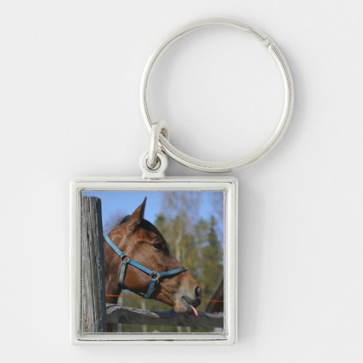 Porte-clés Porte - clé de cheval (Devant)